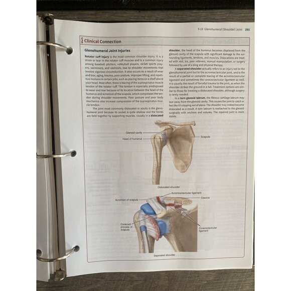 Anatomy & Physiology Vol 1 Gerard J Tortora, Bryan H Derrickson 2021 - Picture 4 of 5